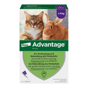 Advantage 80 mg Katze + Zierkaninchen