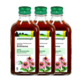 Schoenenberger Echinacea Saft Sonnenhut