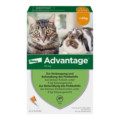 Advantage 40 mg Katze + kleine Zierkaninchen
