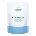 B-Life Protect Kapseln mit aktivem Vitamin B6