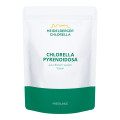 Chlorella Pyrenoidosa