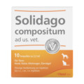 SOLIDAGO COMPOSITUM ad us.vet.Ampullen