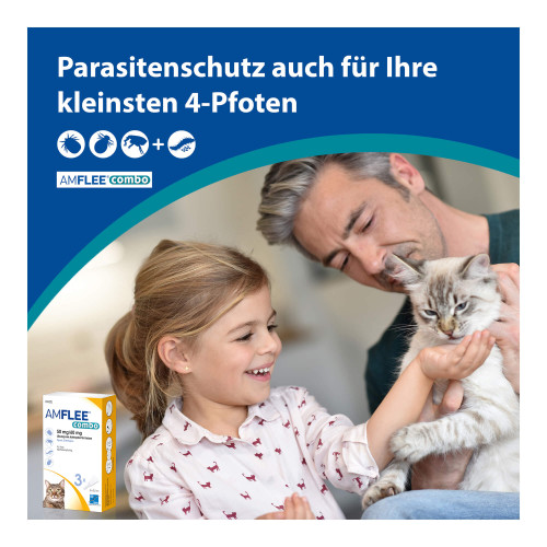 Amflee combo 50/60 mg Lsg. zum Auftropfen f&uuml;r Katzen
