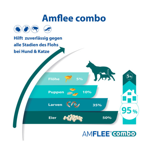 Amflee combo 402/361,8 mg Lsg.z.Auftr. f&uuml;r Hunde &uuml;ber 40 kg