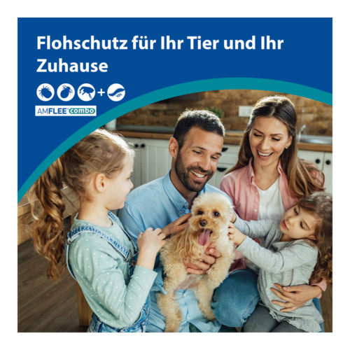 Amflee combo 402/361,8 mg Lsg.z.Auftr. f&uuml;r Hunde &uuml;ber 40 kg