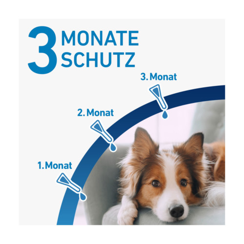 Frontline Spot on H 10 L&ouml;sung f&uuml;r Hunde