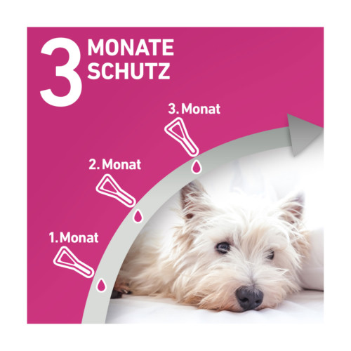Frontline Tri-Act L&ouml;sung zum Auftropfen f&uuml;r Hunde 2-5 kg