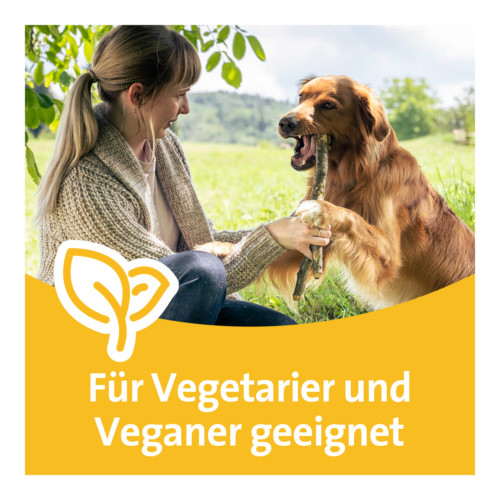 Grippostad C Stickpack Granulat