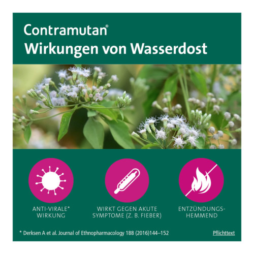 Contramutan Tabletten