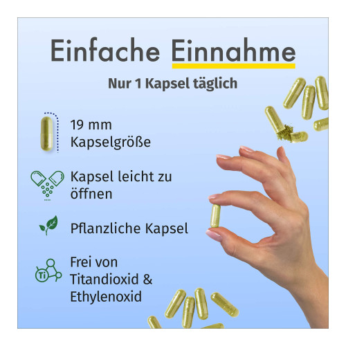 GREEN NATURALS Jod aus Bio-Kelp Kapseln