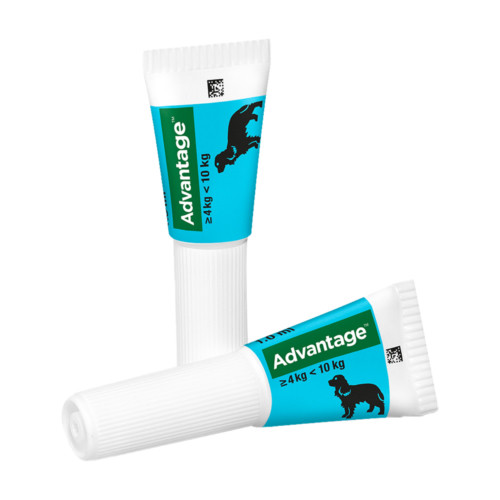 Advantage 100 Hund