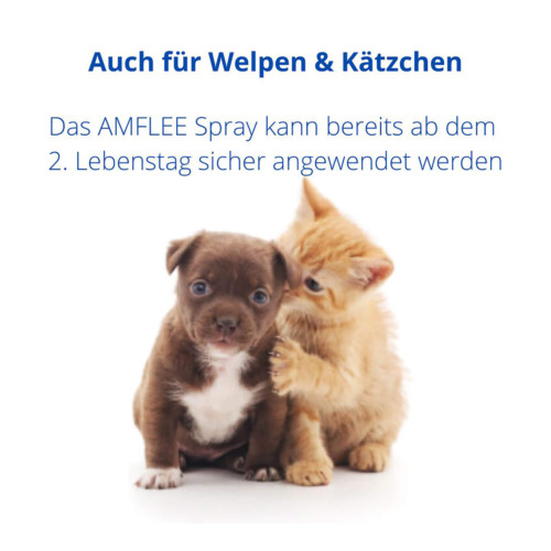 Amflee 2,5 mg/ml Spray L&ouml;sung f&uuml;r Katzen und Hunde