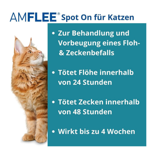 Amflee 50 mg L&ouml;sung zum Auftropfen f&uuml;r Katzen