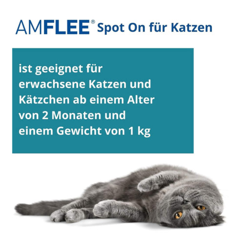 Amflee 50 mg L&ouml;sung zum Auftropfen f&uuml;r Katzen