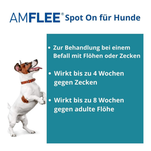 Amflee 134 mg L&ouml;sung zum Auftropfen f&uuml;r Mittelgro&szlig;e Hunde