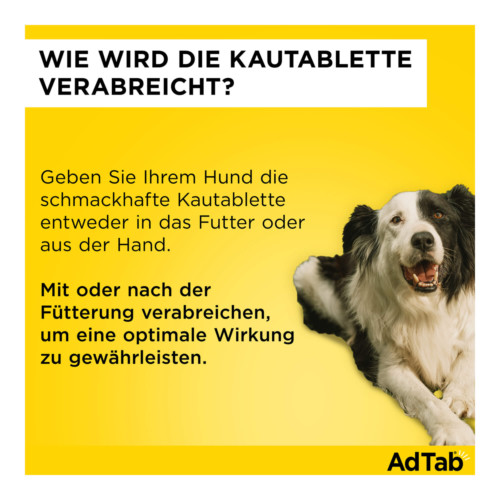 AdTab Kautabletten f&uuml;r Hunde von 1,3 bis 2,5 kg