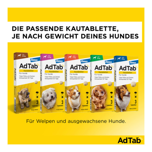 AdTab Kautabletten f&uuml;r Hunde von 1,3 bis 2,5 kg