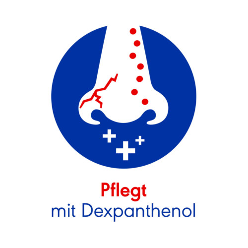 Otriven Protect 1 mg/ml + 50 mg/ml Nasenspray L&ouml;sung