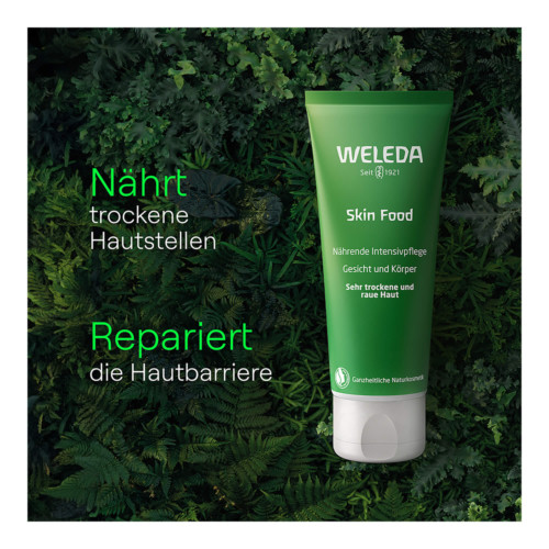 Weleda Skin Food