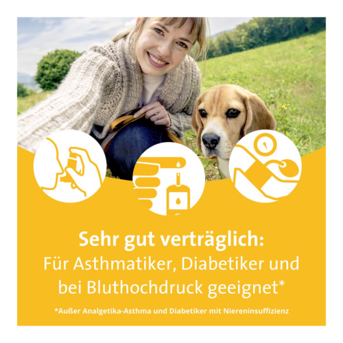 Grippostad C Stickpack Granulat