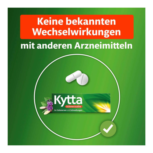 Kytta Schmerzsalbe