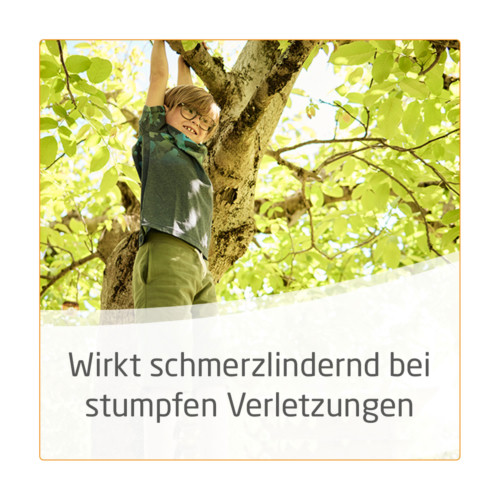 WELEDA Arnika Salbe 30%