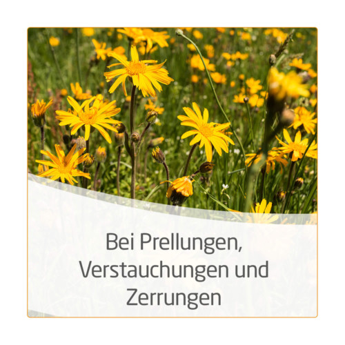 WELEDA Arnika Salbe 30%