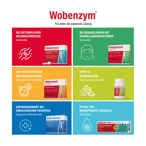 Wobenzym magensaftresistente Tabletten