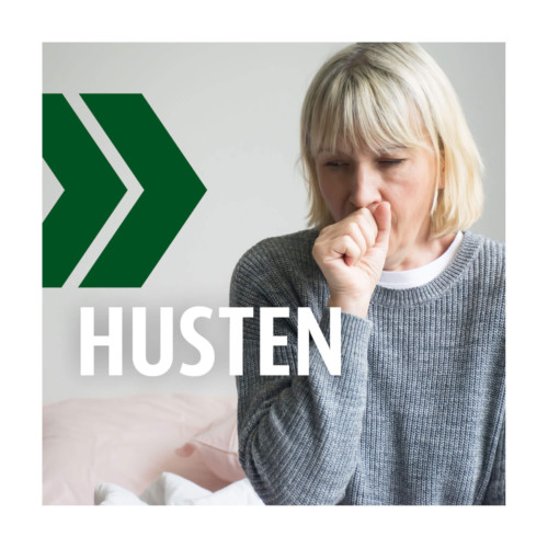 Prospan Husten Brausetabletten