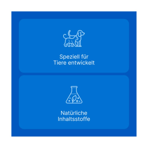 Traumeel T ad us. vet. Tabletten