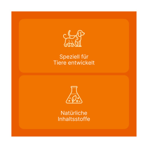 SOLIDAGO COMPOSITUM ad us.vet.Ampullen