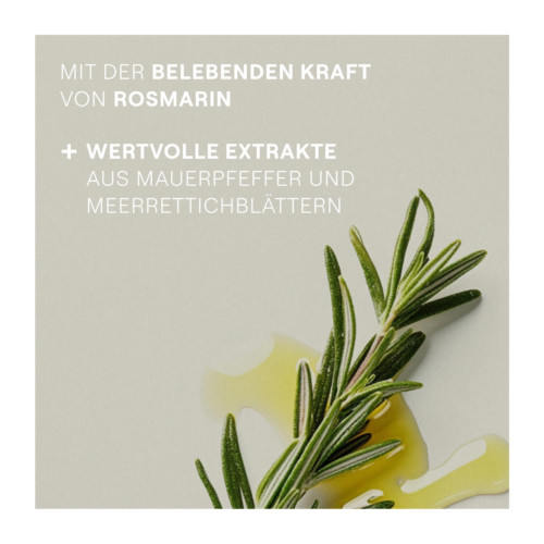 Weleda Belebendes Haar-Tonikum