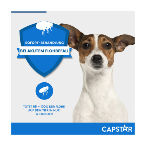 Capstar 11,4 mg Tabletten f&uuml;r Katzen/kleine Hunde