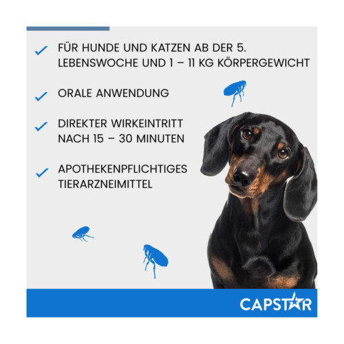 Capstar 11,4 mg Tabletten f&uuml;r Katzen/kleine Hunde