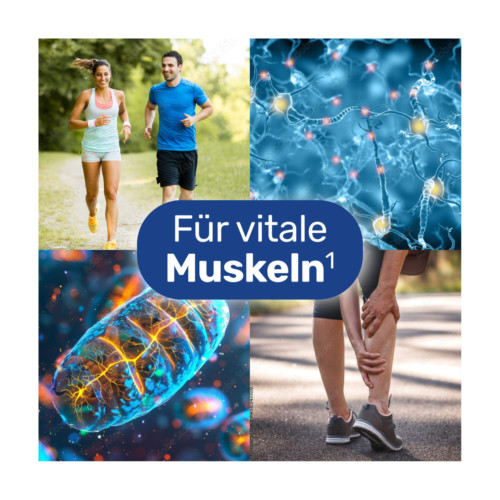 Glycowohl Magnesium 400 mg hochdosiert vegan