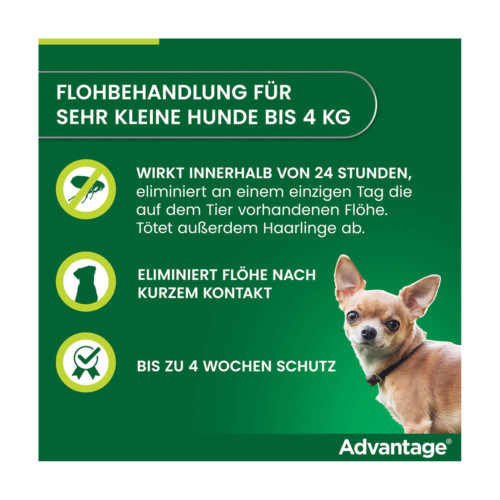 Advantage 40 Hund