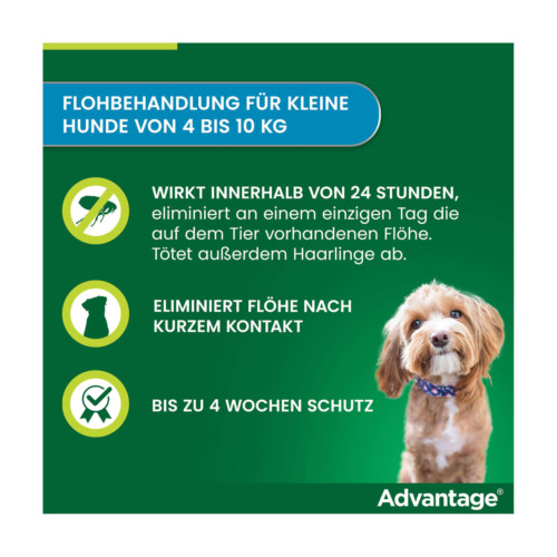 Advantage 100 Hund