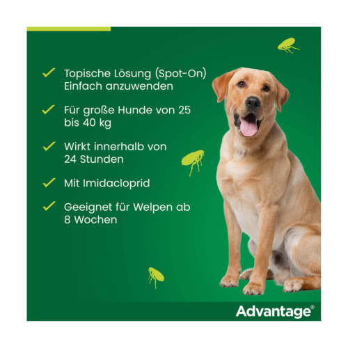 Advantage 400 Hund