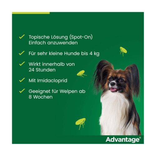Advantage 40 Hund