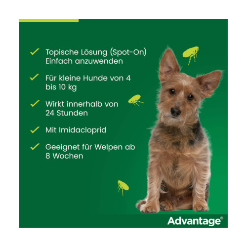 Advantage 100 Hund