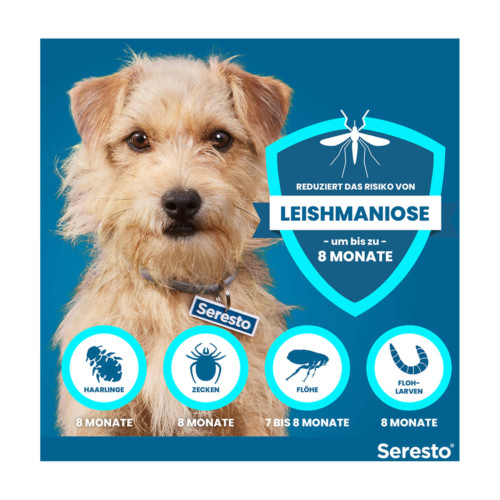 Seresto Halsband f&uuml;r kleine Hunde