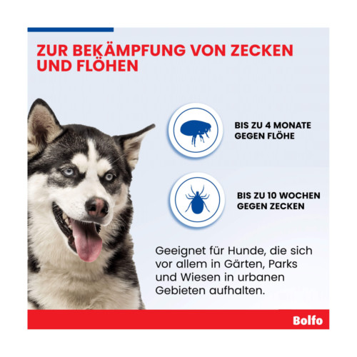 Bolfo Flohschutzband Hund