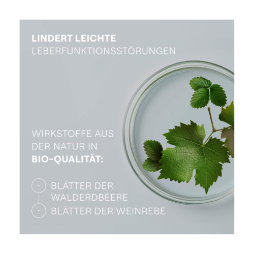 HEPATODORON Tabletten