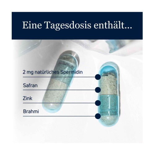 SpermidineLIFE Memory+ Kapseln