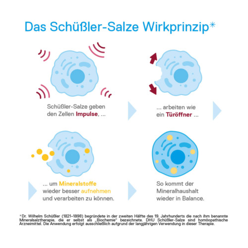 DHU Sch&uuml;&szlig;ler-Salz Nr. 5 Kalium phosphoricum D6 Tabletten