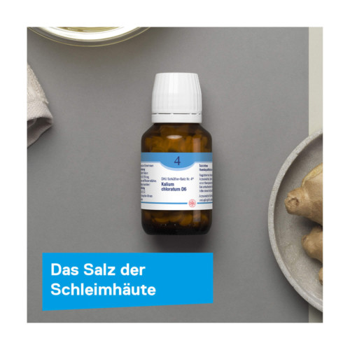 DHU Sch&uuml;&szlig;ler-Salz Nr. 4 Kalium chloratum D6 Tabletten