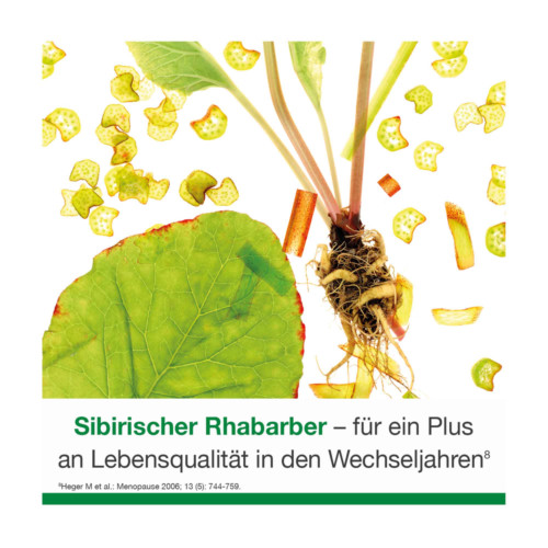 FemiLoges 4 mg magensaftresistente Tabletten