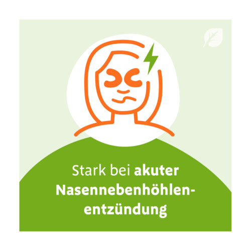 SINUPRET extract &uuml;berzogene Tabletten