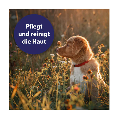 Canosept Wundspray f&uuml;r Hunde