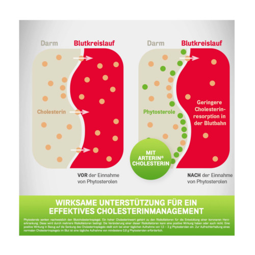 Arterin Cholesterin Tabletten
